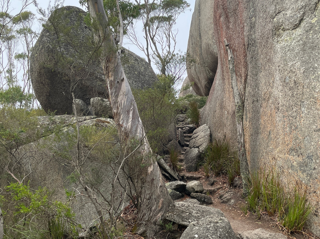 Castle Rock-Porongurup National Park必去景点