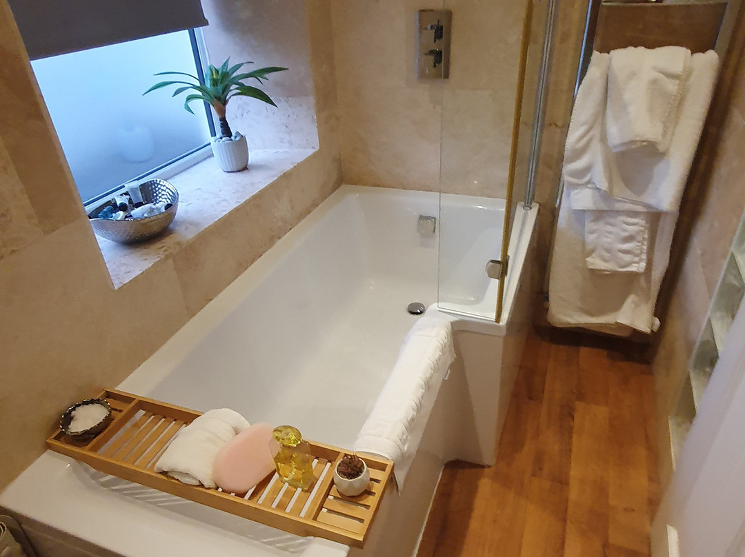 The Curious Fox主图