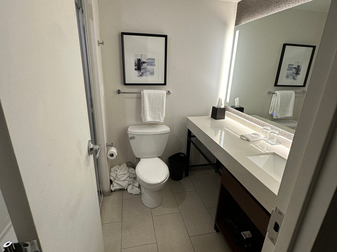 哈特福德布拉德利机场喜来登酒店主图