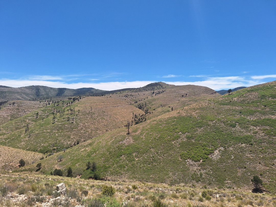 McKittrick Canyon-Guadalupe Mountains National Park必去景点