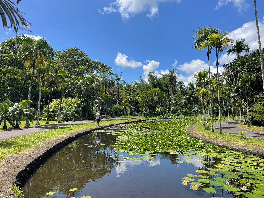 Sir Seewoosagur Ramgoolam Botanical Garden-庞波慕斯必去景点