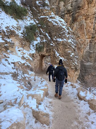 光明天使小屋主图