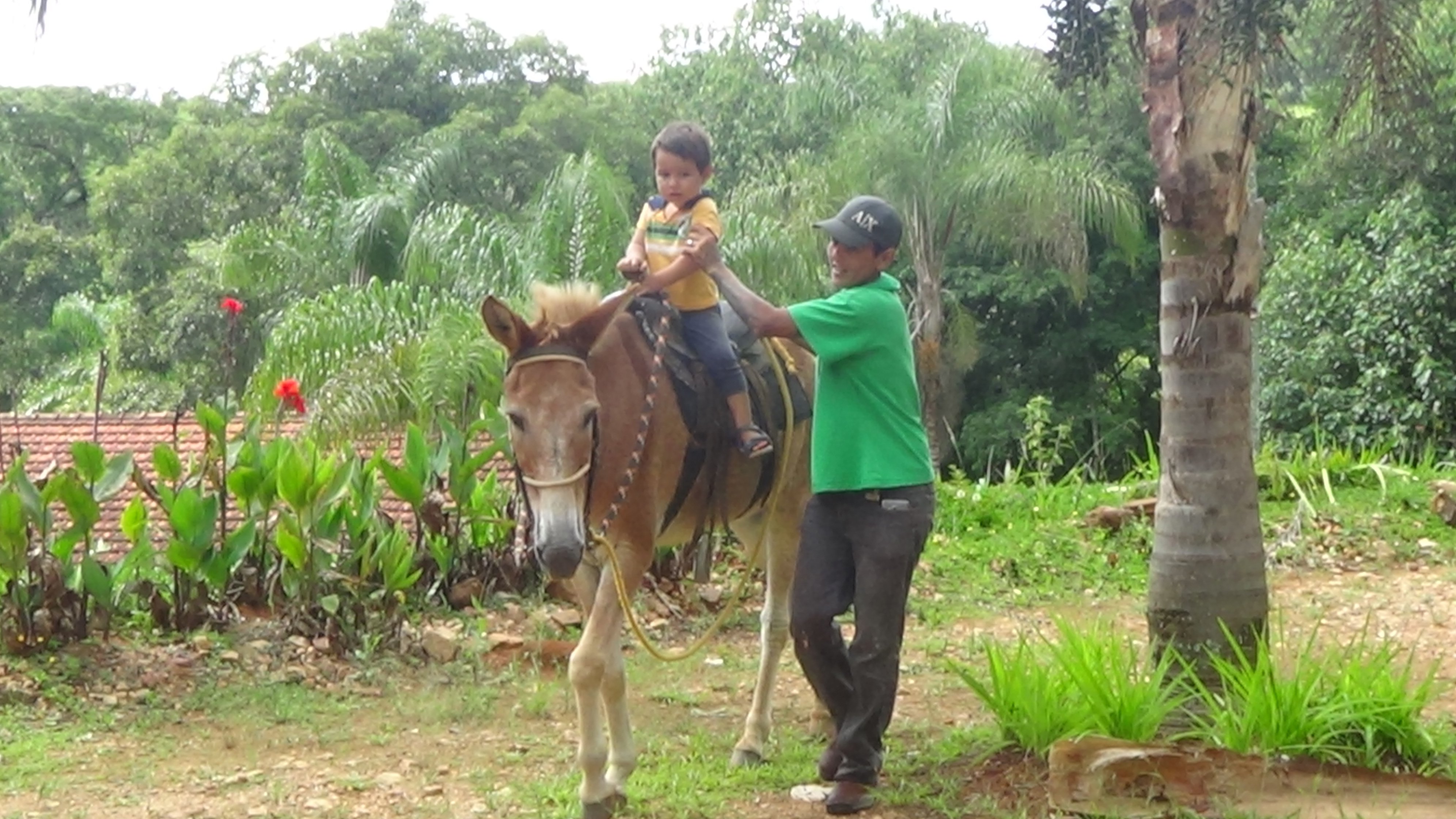 Pousada Encanto da Mata-浴室