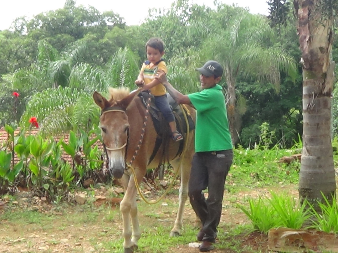 Pousada Encanto da Mata主图