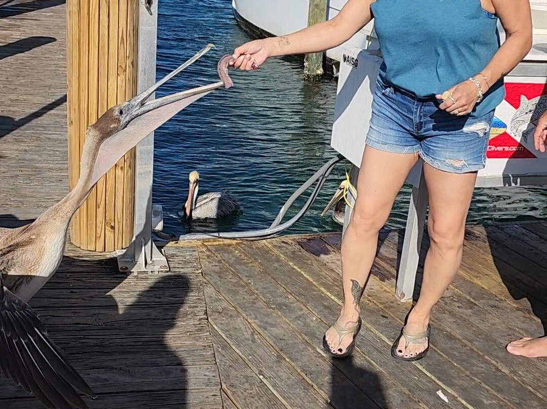 AquaLife Divers-庞帕诺比奇必去景点