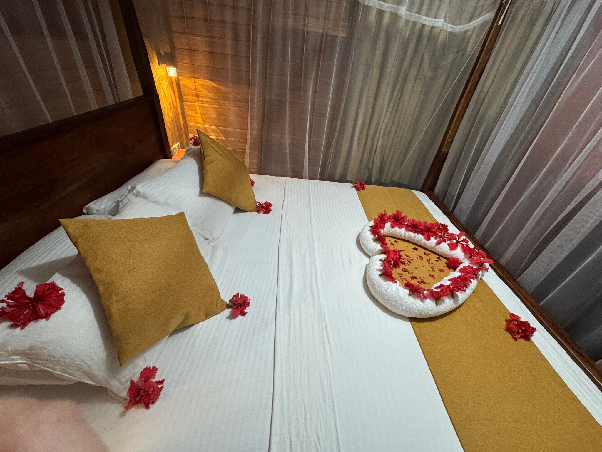 Wilpattu Tree House Hotel-官方