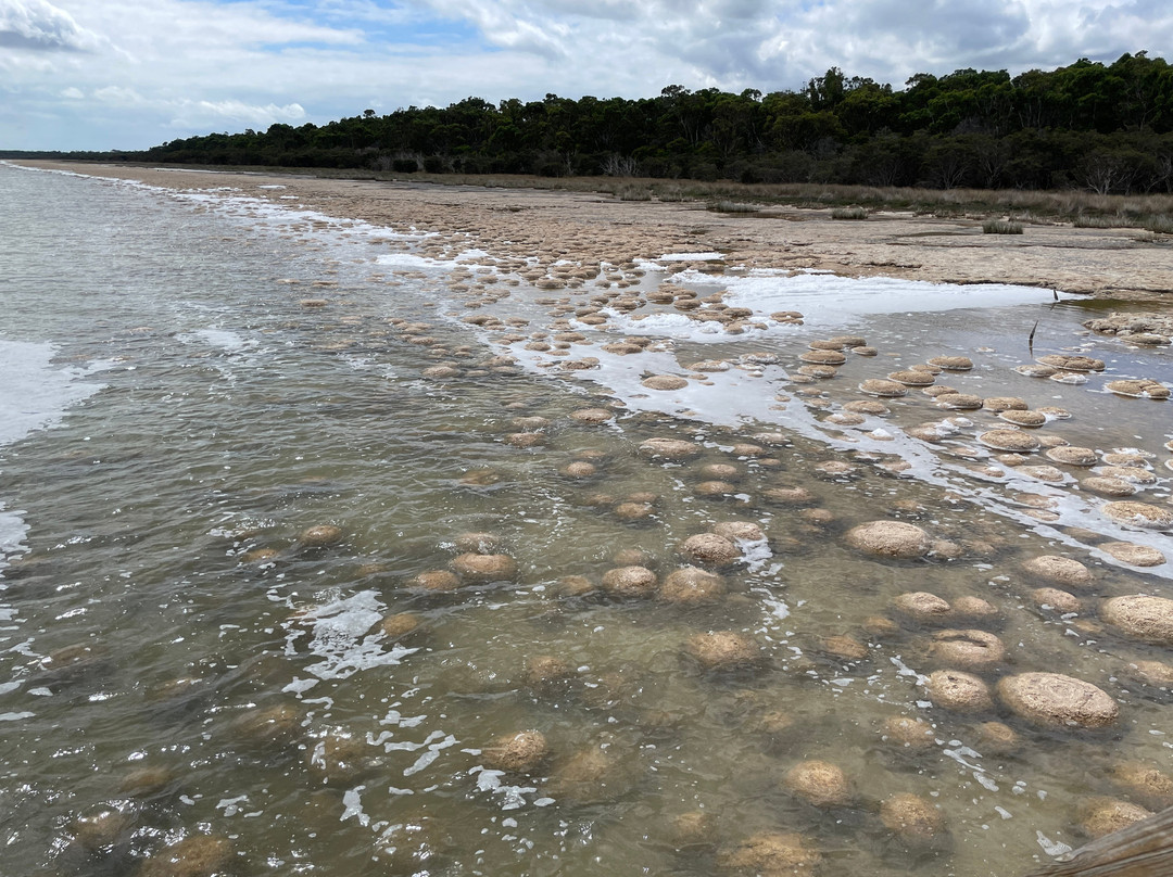 Lake Clifton-Yalgorup National Park必去景点