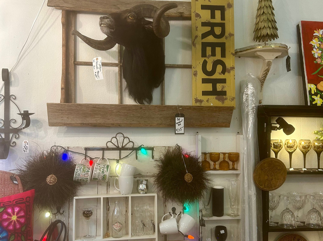 Brazos Street Market-Whitney必去景点