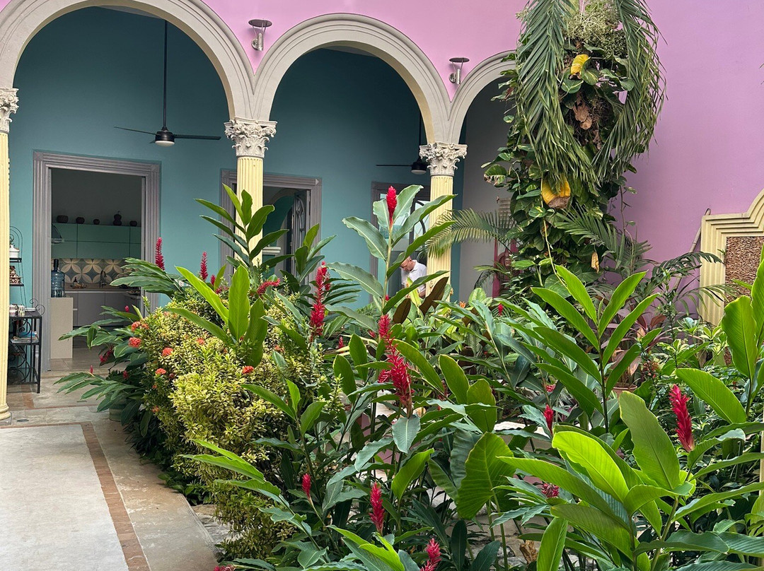 Casona 66 Merida  Boutique Hotel主图