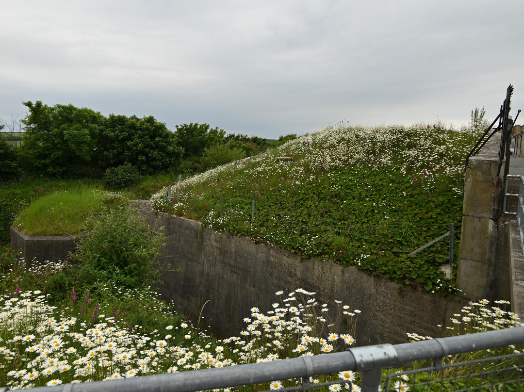 Chapel Bay Fort & Museum景点图片