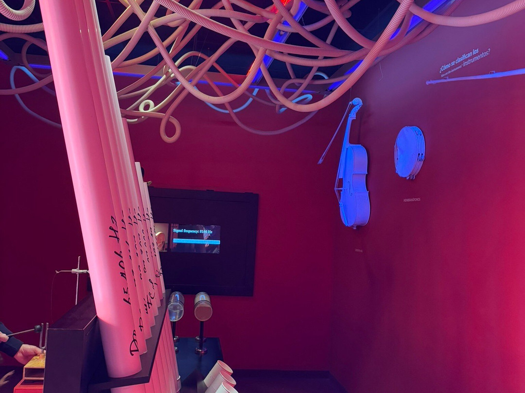 Museo Interactivo de la Musica Malaga景点图片
