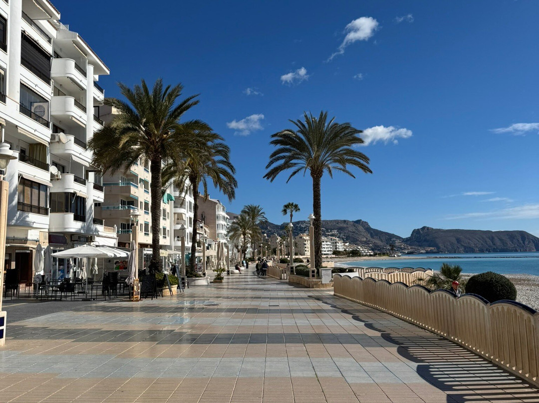 Marina Greenwich-阿尔特阿必去景点