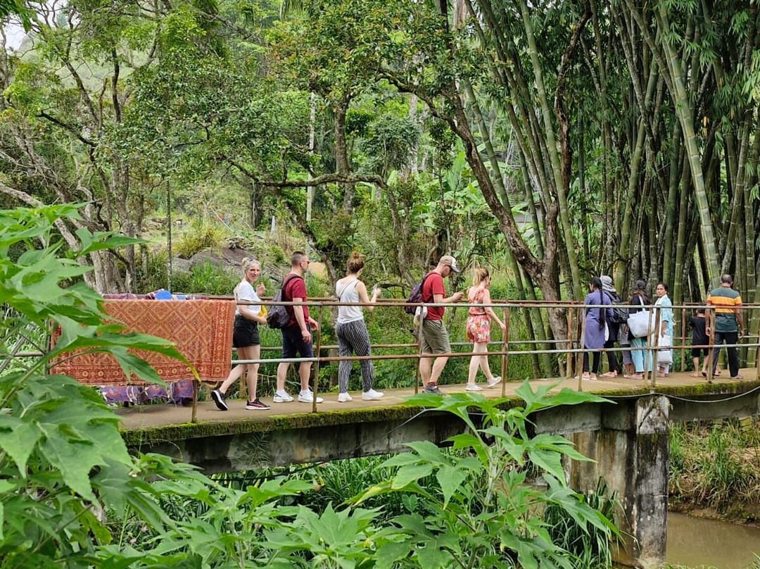 "Carpe Diem" Tour Experts SLNo-Daluwakotuwa必去景点