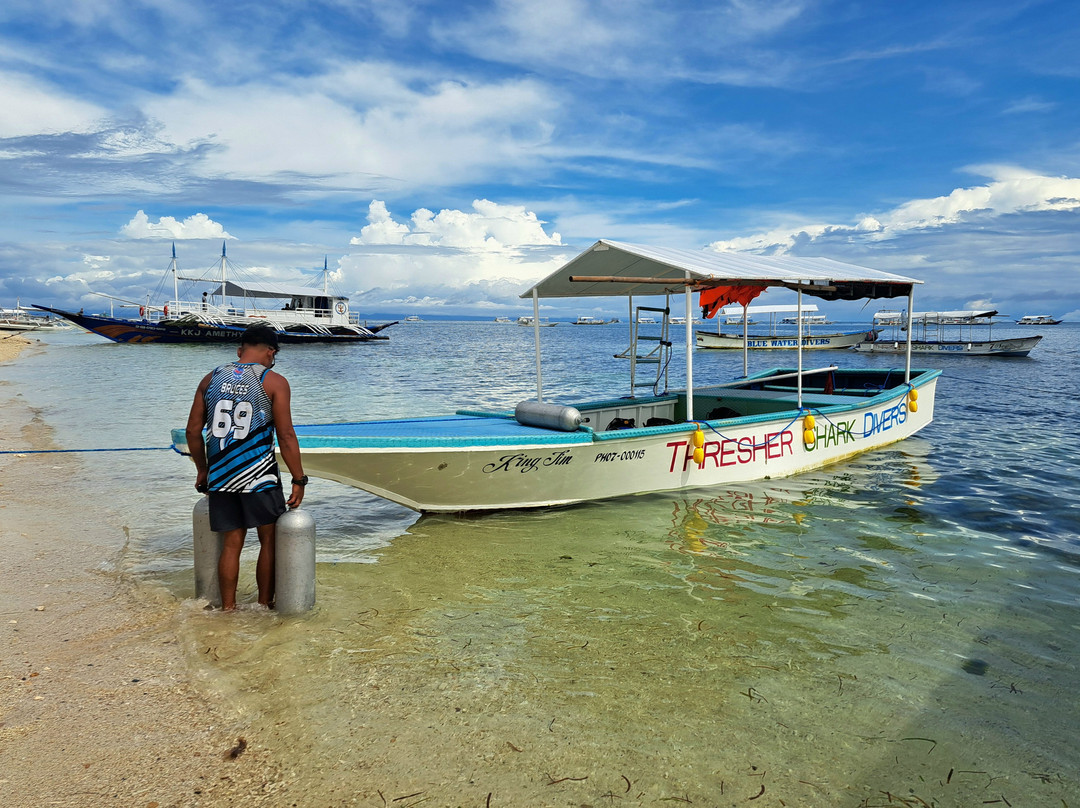 长尾鲨浮潜-妈妈拍丝瓜岛必去景点