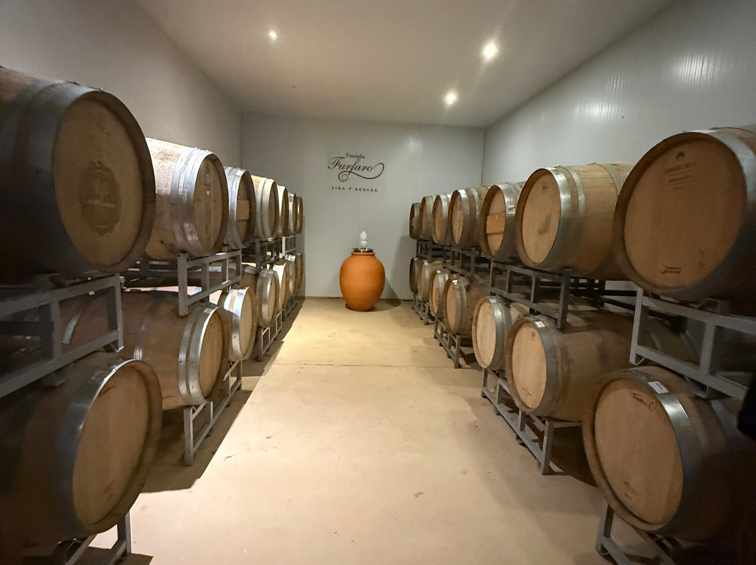 Bodega Furfaro景点图片