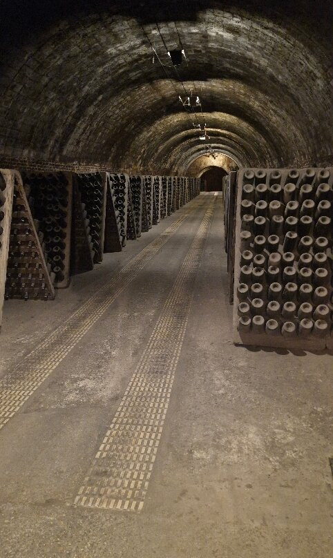 Caves Anna d’ Codorniu-桑特萨杜尔尼达诺亚必去景点