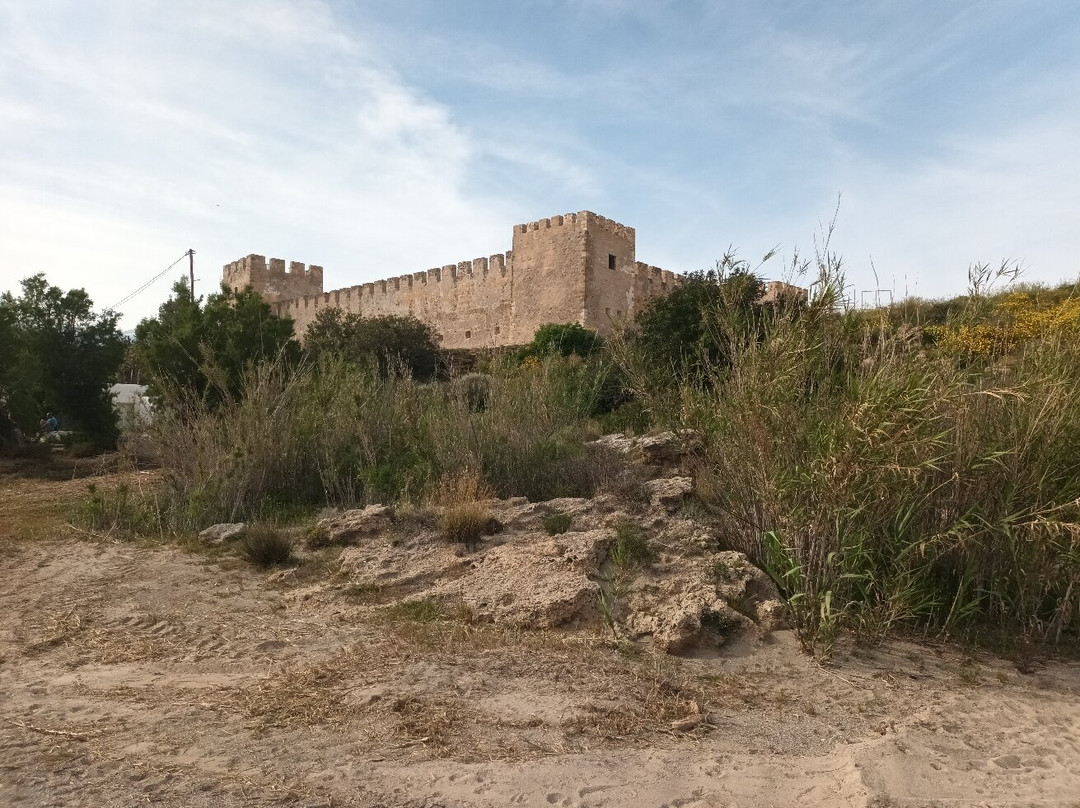 Frangokastello Beach景点图片