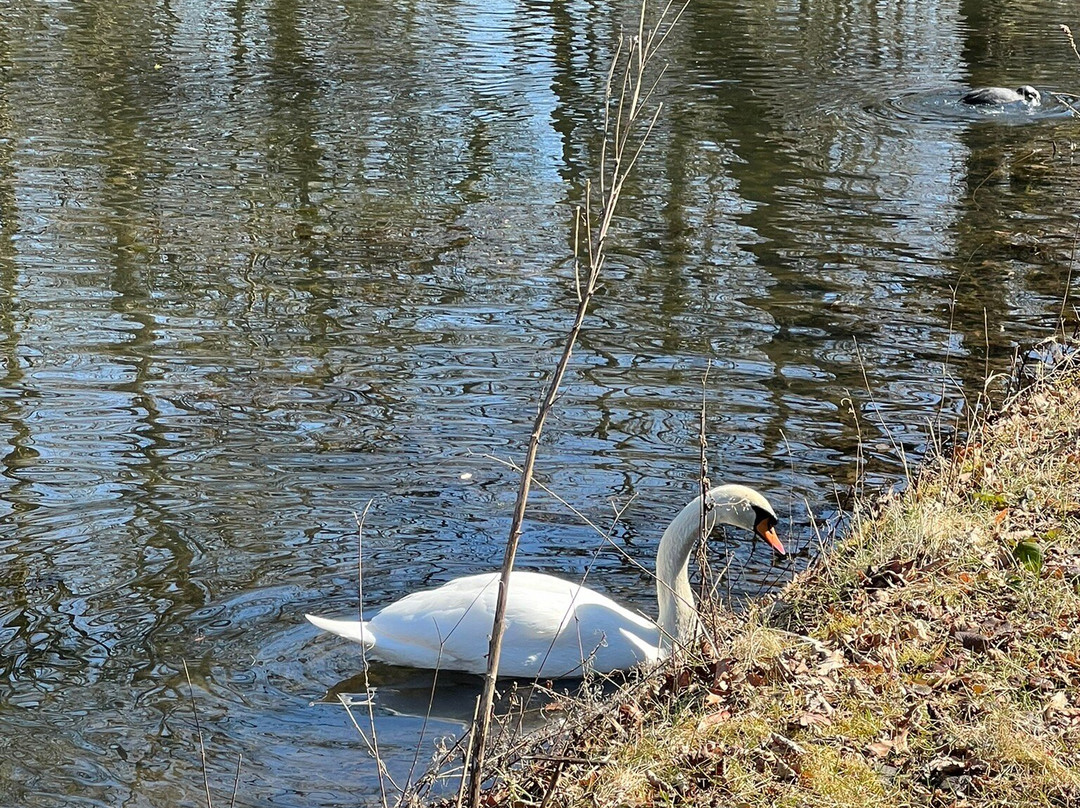 Schlosspark Brühl景点图片