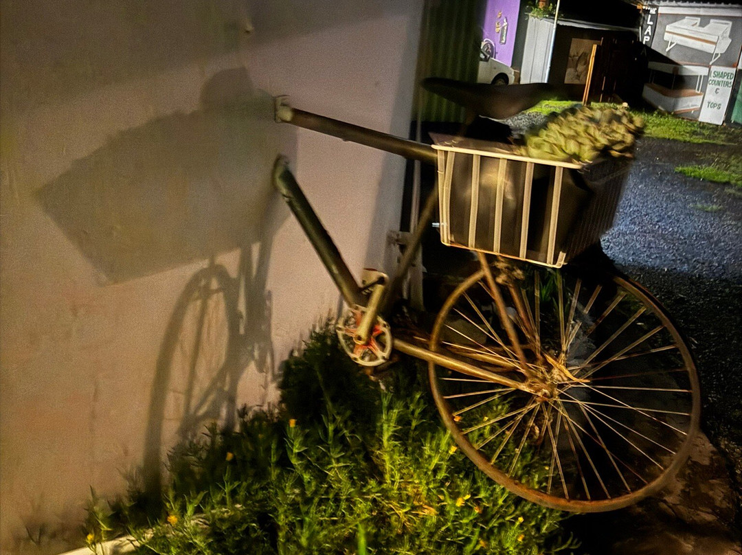 Purple House B&B主图