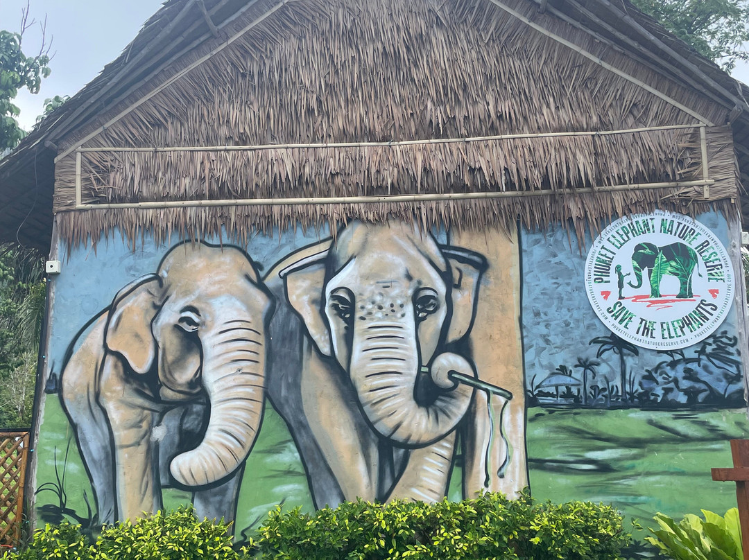 Green Elephant Sanctuary Park景点图片