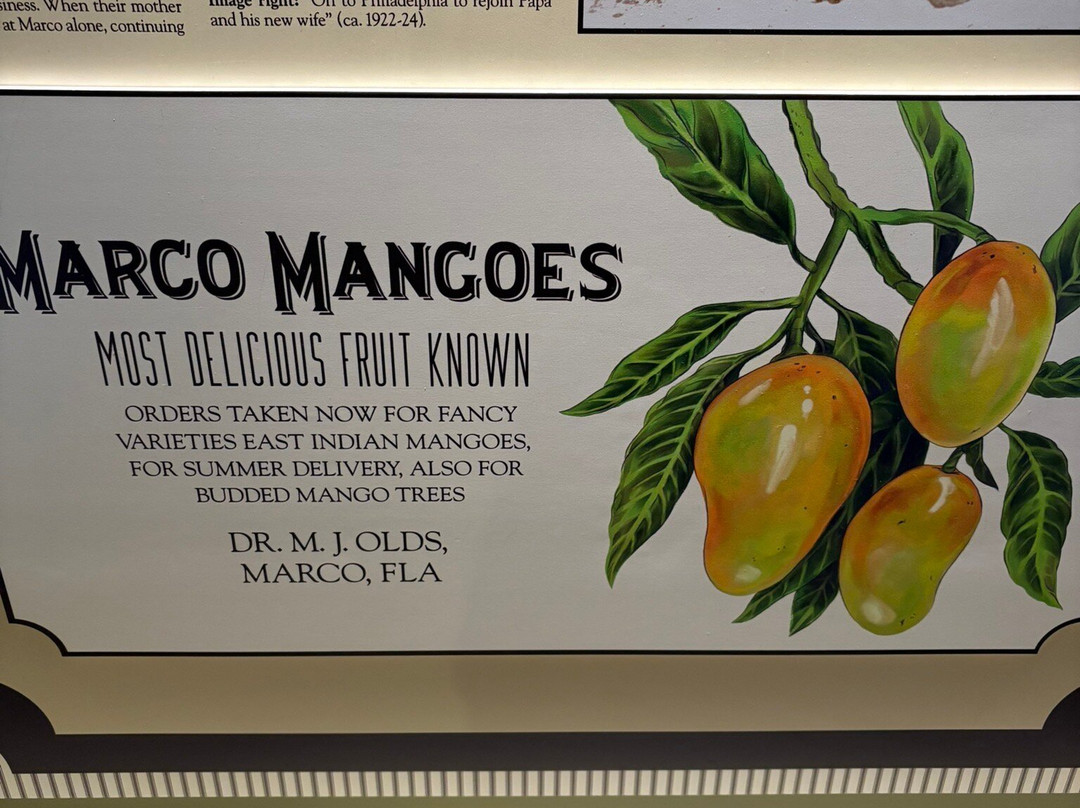 Marco Island Historical Museum景点图片