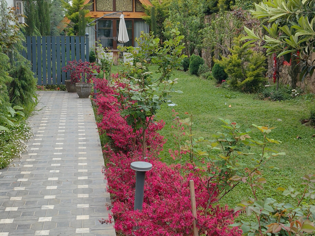 Rah Bagh By The Orchard主图