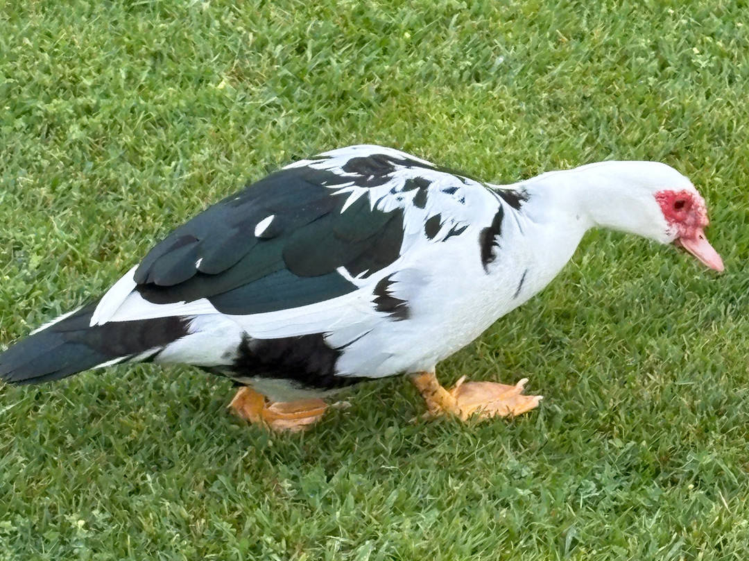 Quinta dos Poetas, Nature Hotel & Apartments主图