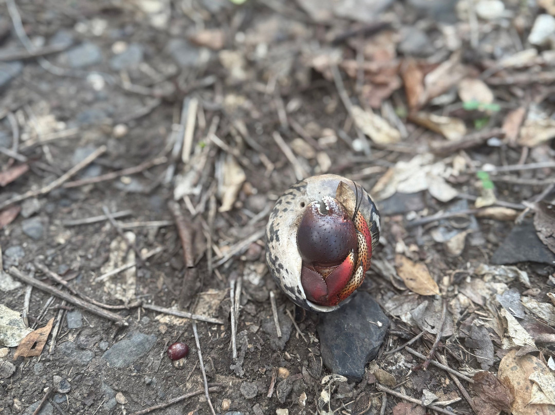 Petites Cayes-Anse Marcel必去景点