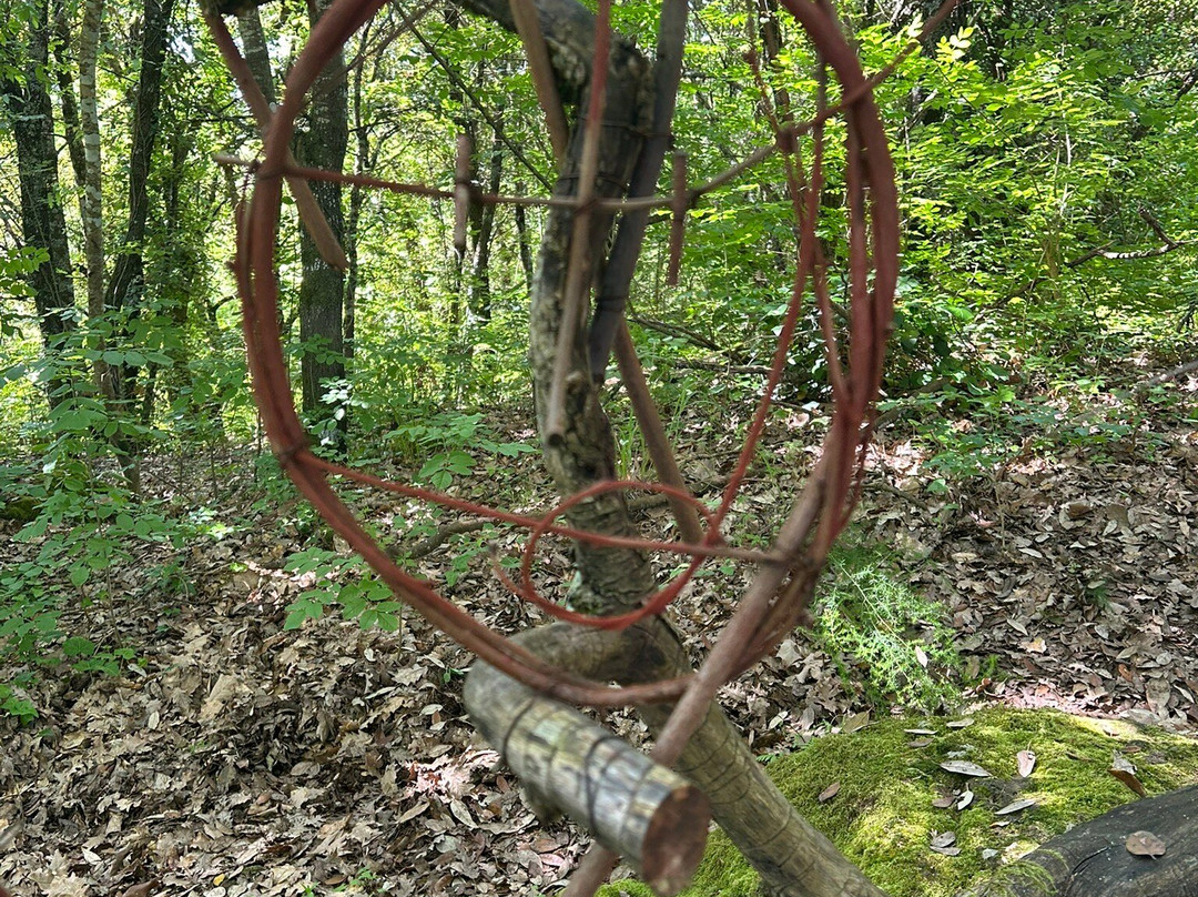 Opera Bosco - Museo di Arte nella Natura-Calcata必去景点