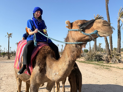 KARMA DIR TRAVEL-马拉喀什必去景点