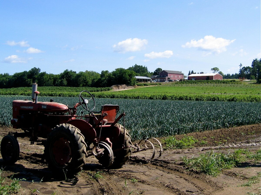 Wilson Farm-列克星敦必去景点
