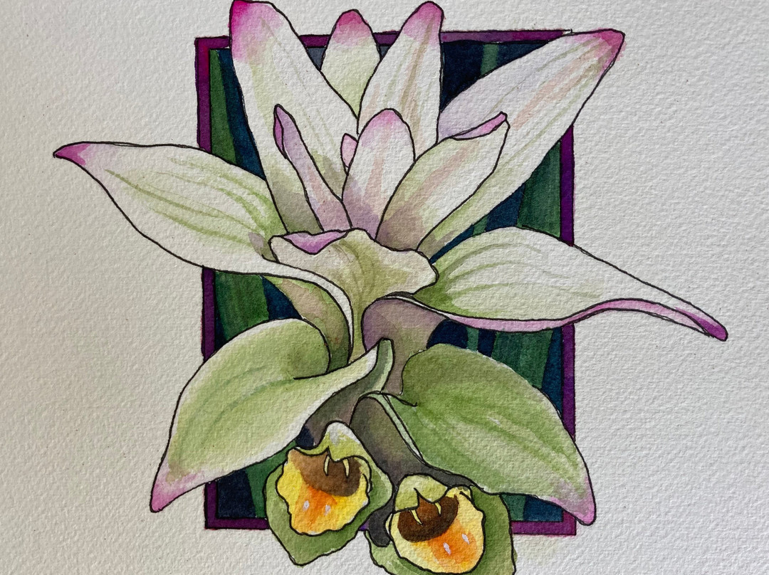Olena Gallery景点图片