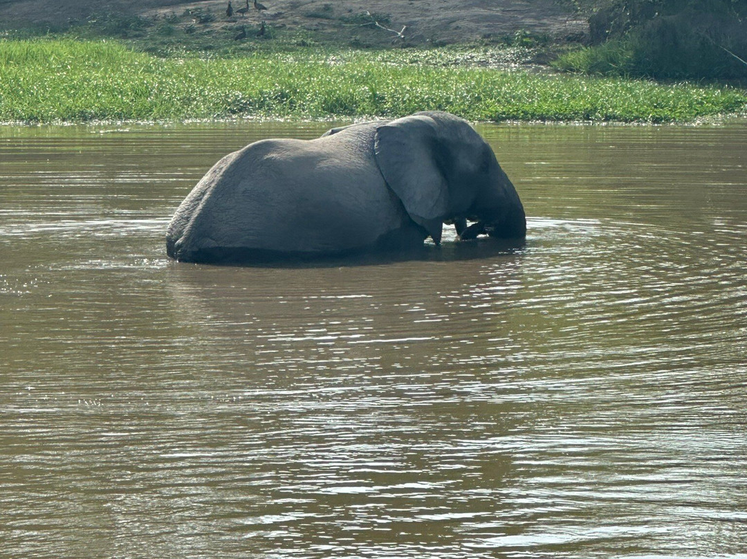 Mole Boy Travel & Safe Guide Tours-Tamale必去景点