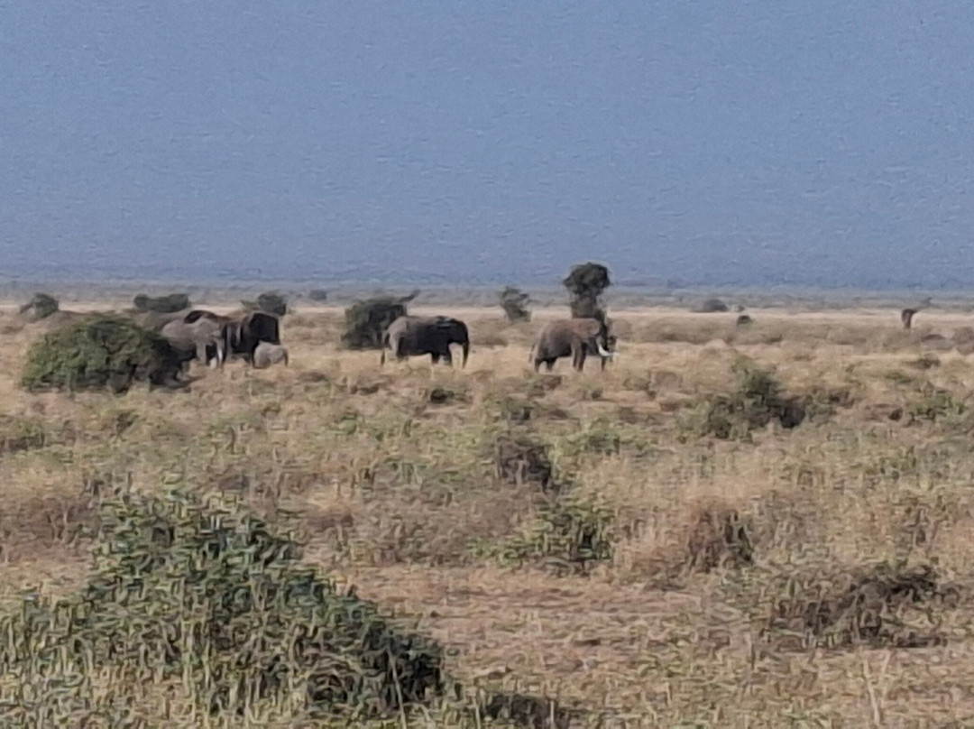 Topcats Safaris Ltd-奇安波必去景点