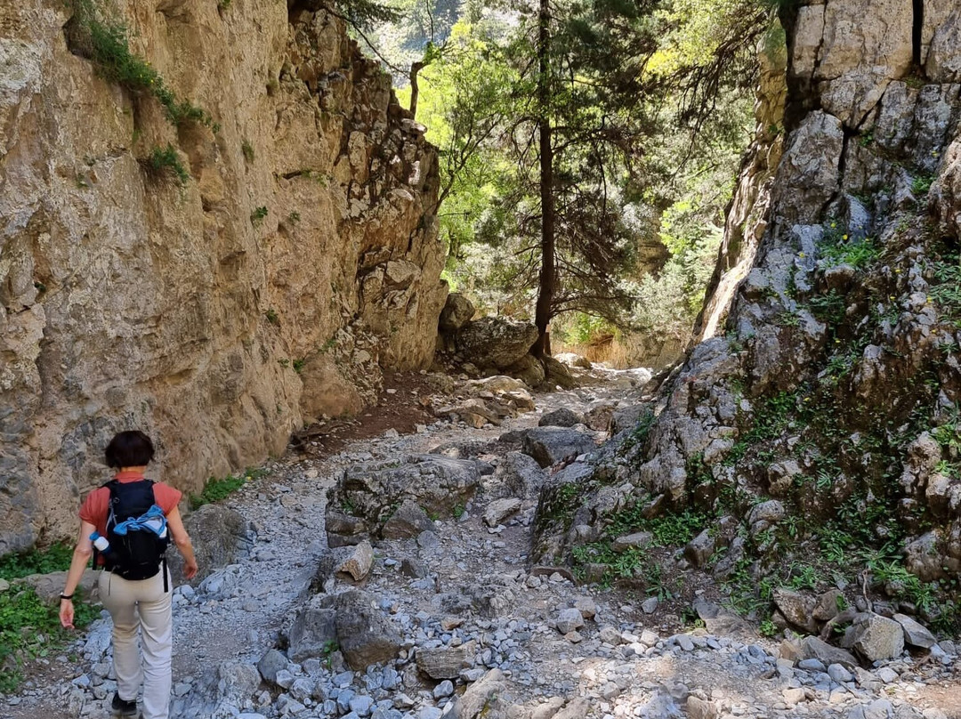 Hapimag Resort Damnoni主图