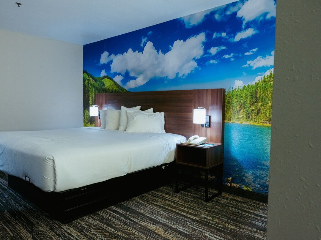 迪拉德智选假日酒店主图