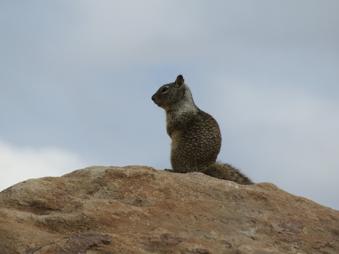 Vasquez Rocks Natural Area-Agua Dulce必去景点