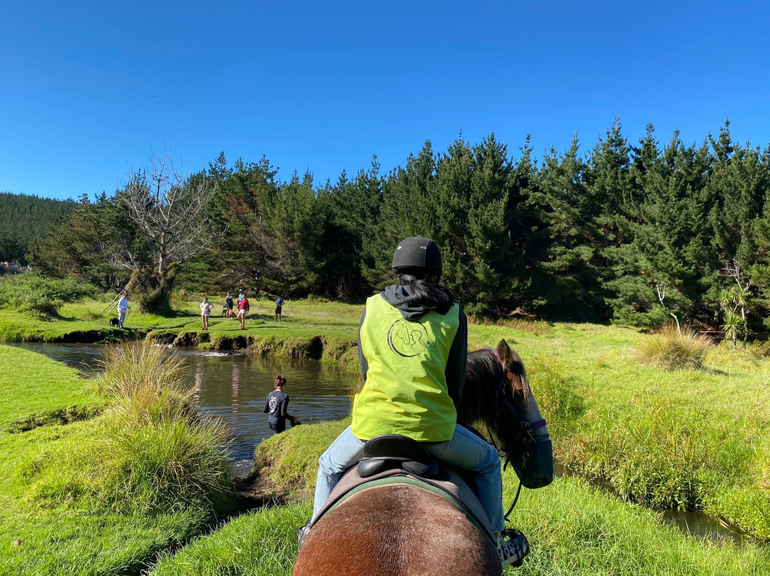 Muriwai Beach Horse Treks景点图片