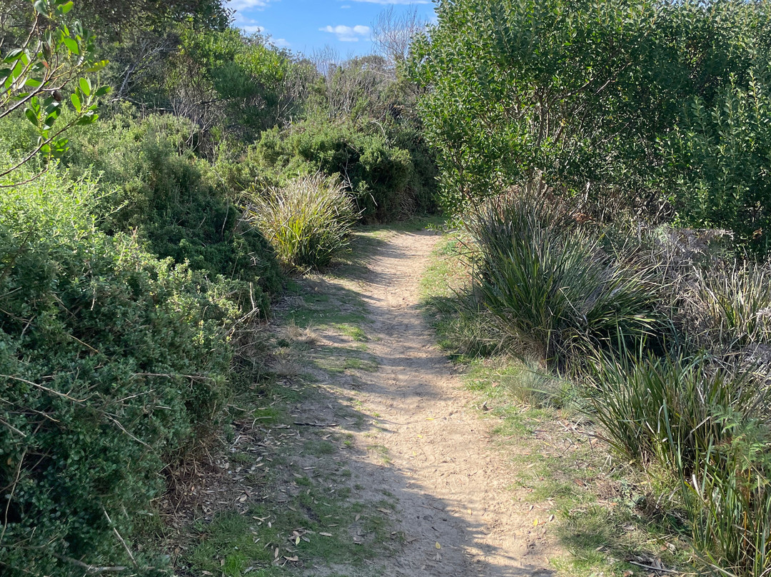 Redbill Beach-比奇诺必去景点