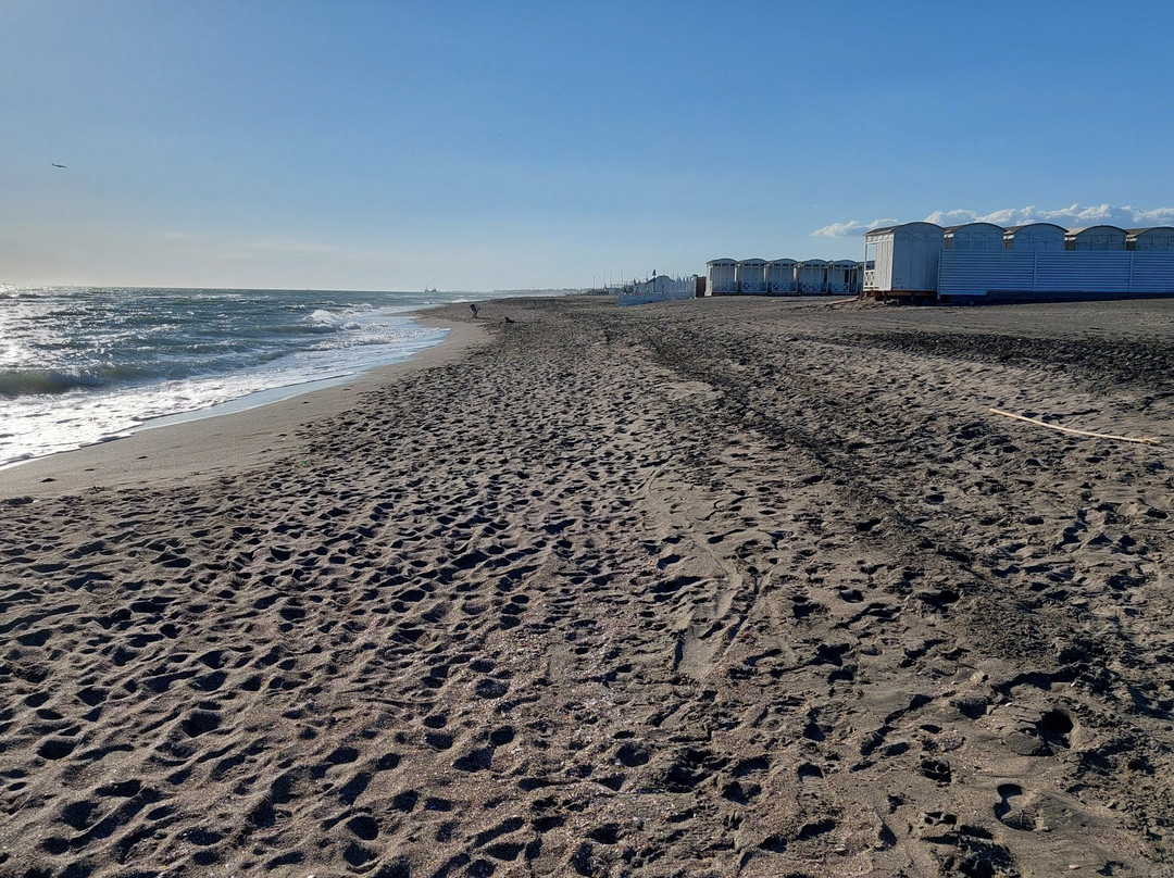 Spiaggia libera Bianca-Lido di Ostia必去景点