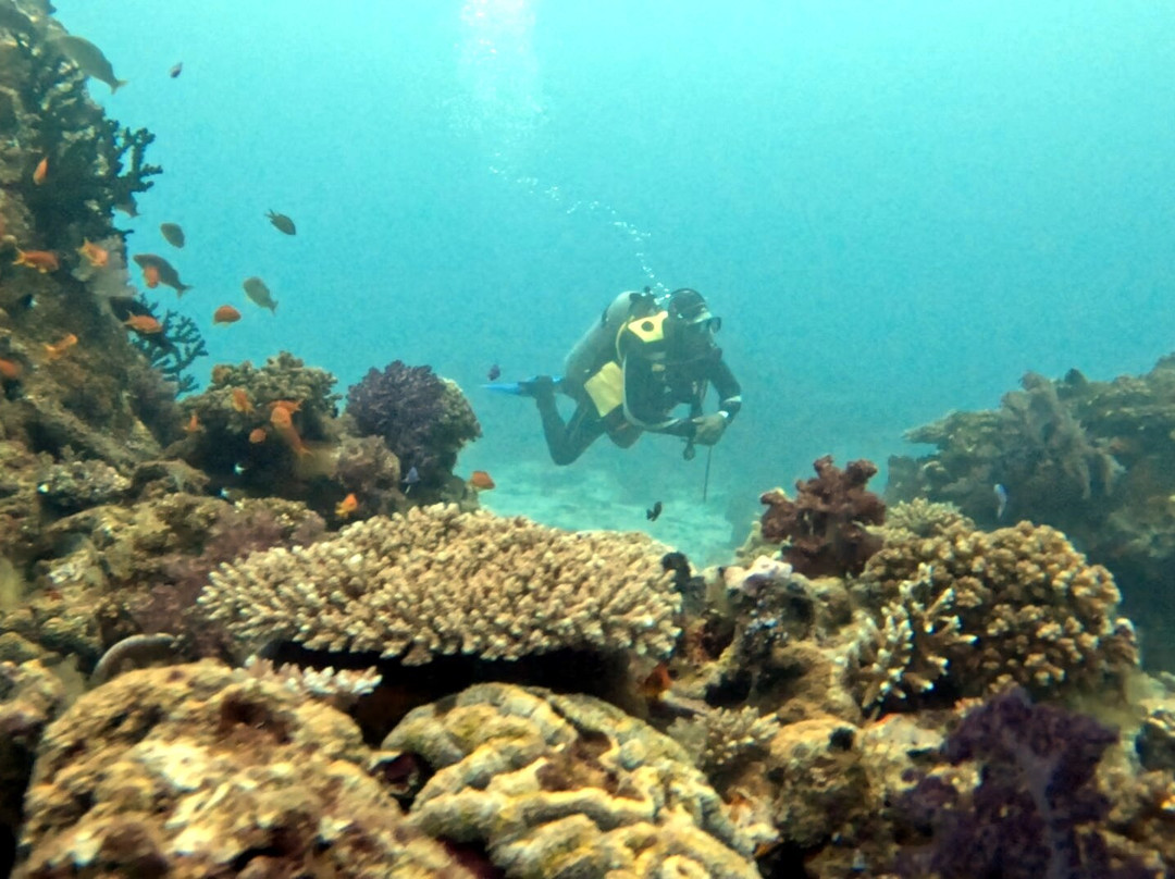 Dive Academy Fiji-Waiyevo必去景点