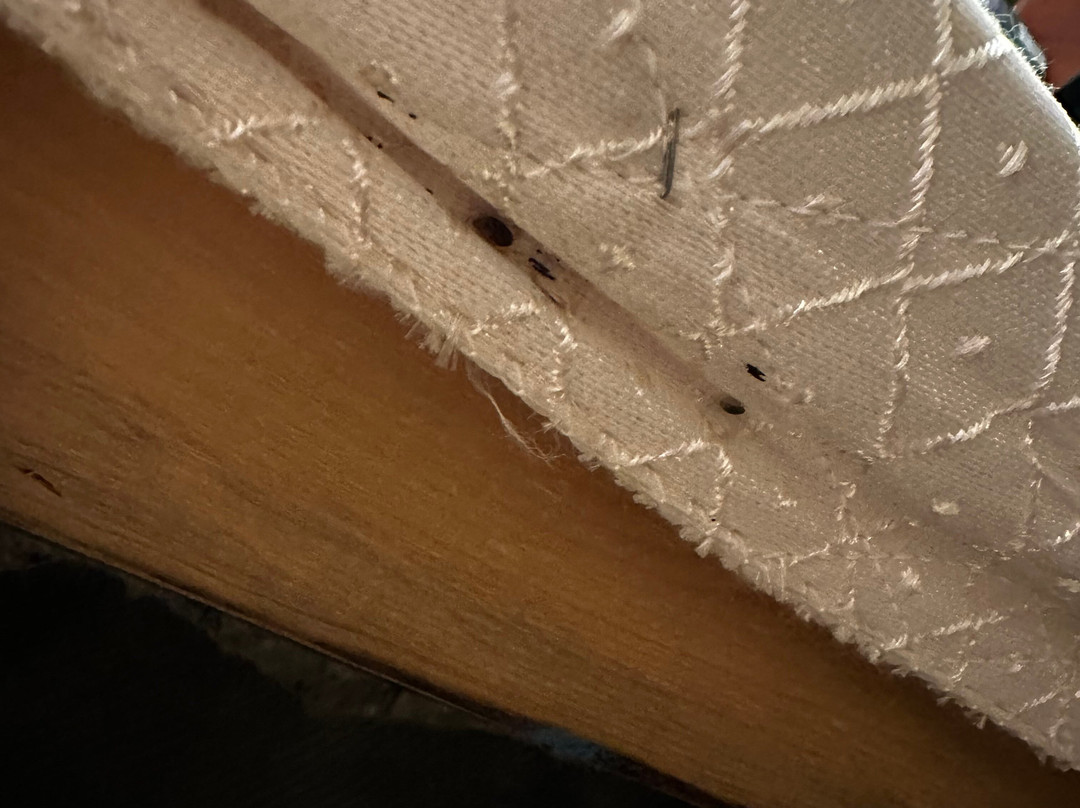 Super 8 by Wyndham Fairmont主图