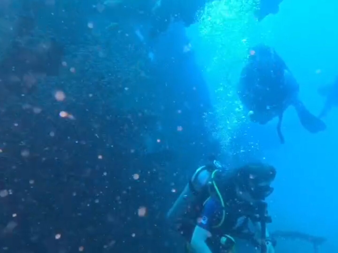 Scuba Addicts Dive Center Passikuda-卡尔库达必去景点