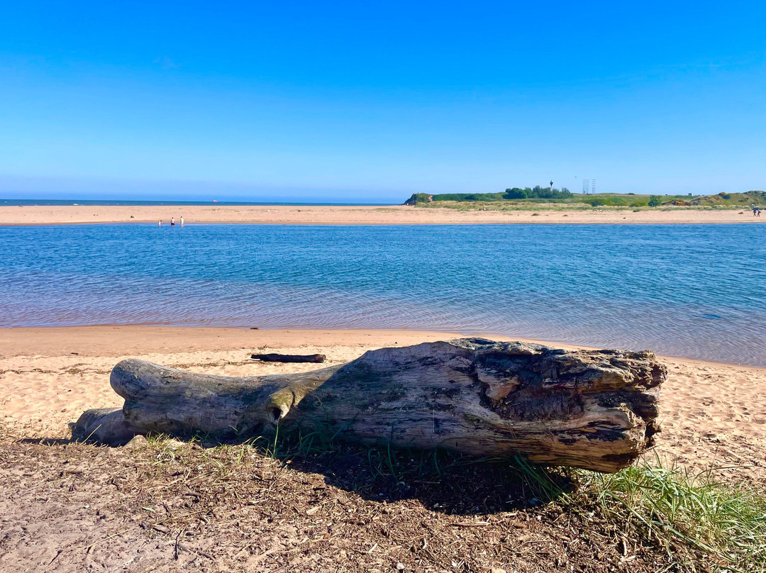 Donmouth Local Nature Reserve-阿伯丁必去景点