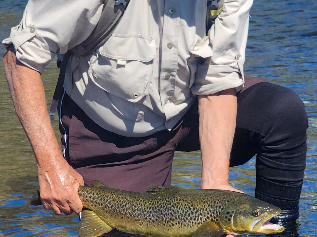 South Island Adventure Fly Fishing-基督城必去景点