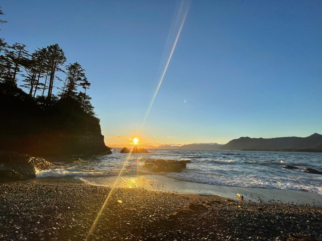 West Coast Expeditions-温哥华岛必去景点