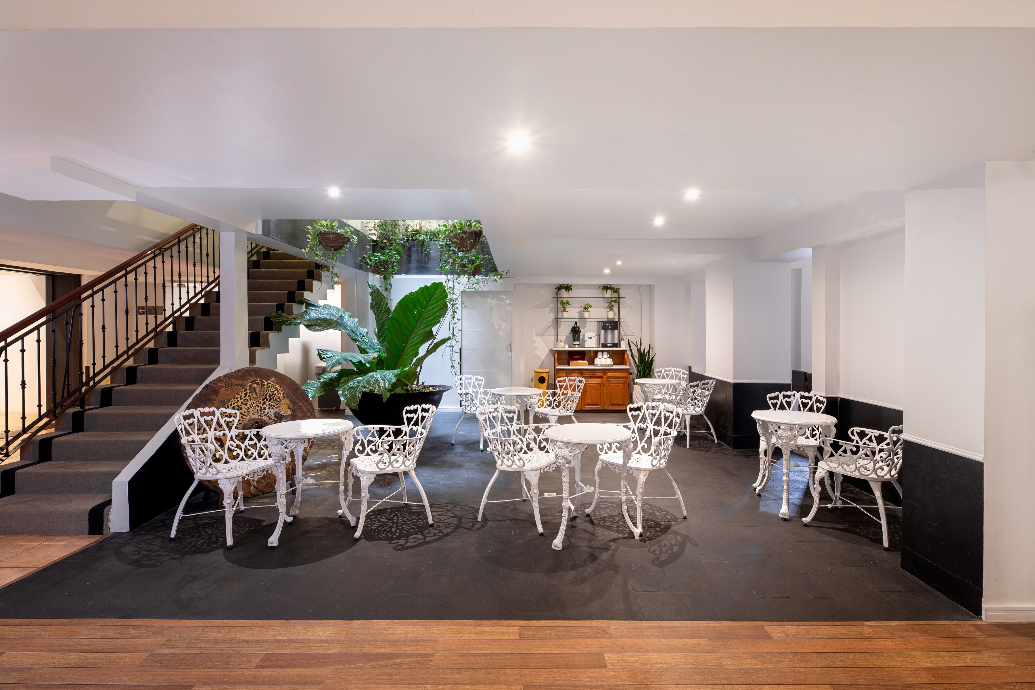 Hotel Presidente-餐饮
