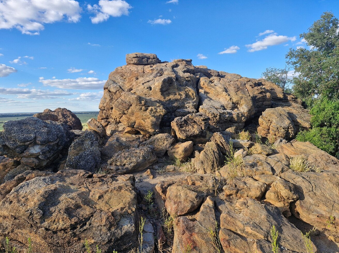 Captain Starlight of Starlight's Lookout-Longreach必去景点