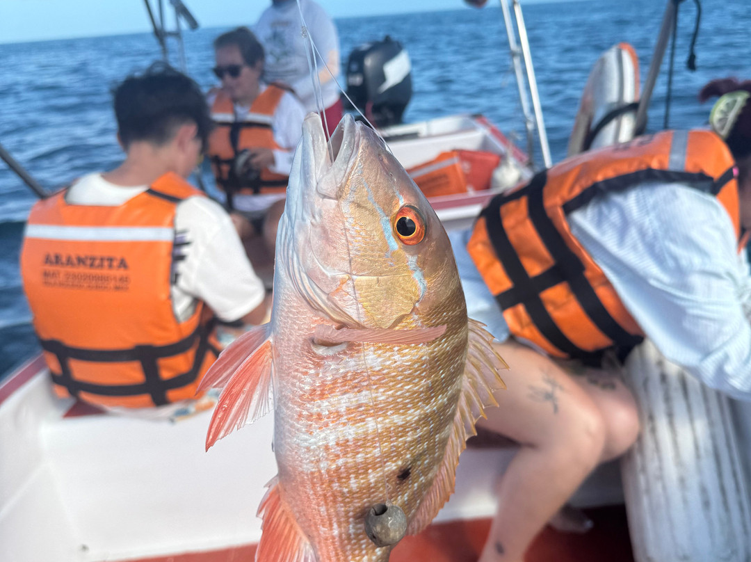 My Holbox Tours-Holbox必去景点