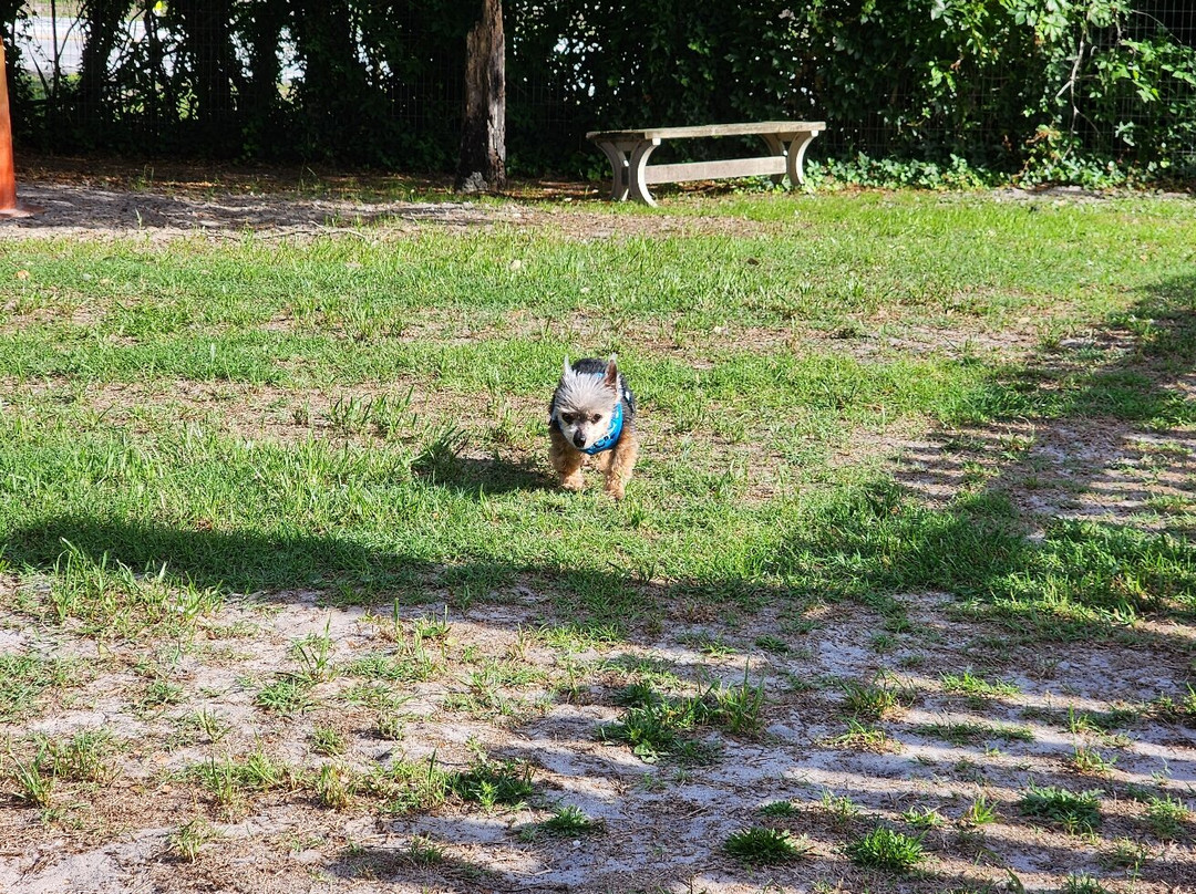 Atlantis Lodge主图